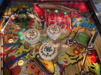 IMG_9465.jpeg