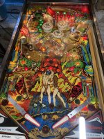 IMG_9464.jpeg