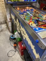 IMG_9446.jpeg