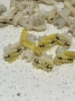 IMG_9697.jpeg