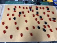 IMG_9909.jpeg
