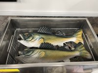 IMG_9814.jpeg