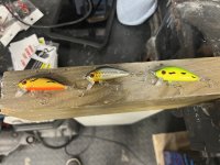 IMG_0249.jpeg