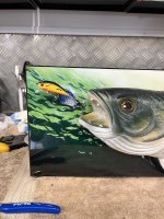 IMG_0344.jpeg