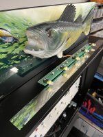 IMG_0635.jpeg