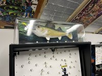 IMG_0630.jpeg