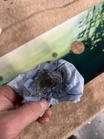 IMG_0158.jpeg