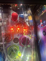 IMG_9555.jpeg
