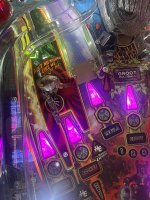 IMG_9556.jpeg