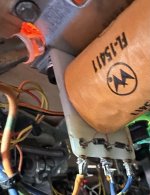 IMG_2296.jpeg