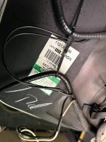 IMG_2048.jpeg