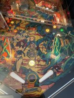 IMG_3548.jpeg