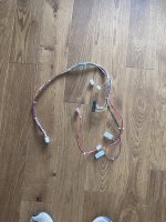 IMG_2675.jpeg