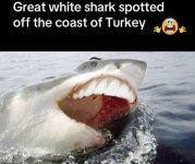 IMG_1841.jpeg