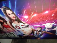 wwe9.jpg
