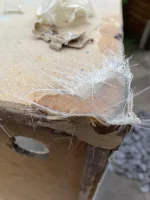 Resin 1.webp
