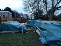 IMG_20160210_072756.jpg