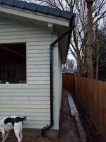 IMG_20160220_161132.jpg