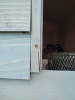 IMG_20160225_071740.jpg