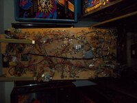 DSCN6105.JPG