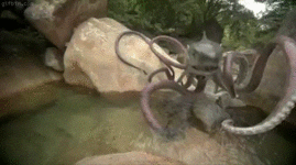 gif sharktopus.gif