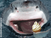 gif shark eats icecream.gif