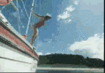 gif dive into shark.gif