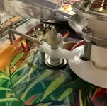 tempImageAyu252.webp