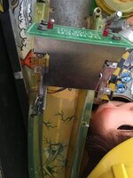 image.jpeg