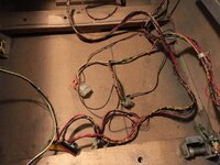 IMG_5372.JPG