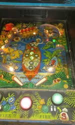 Playfield .webp