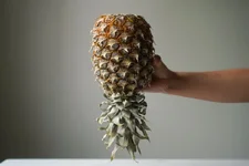 1756488180675.webp