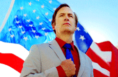 gif bcs-flag.gif