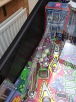 image.jpeg