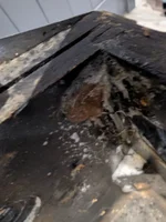 PXL_20251102_121424018.webp PXL_20251102_121424018.webp