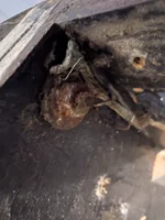 PXL_20251102_121258420.webp PXL_20251102_121258420.webp