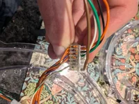 PXL_20251108_163738050.webp PXL_20251108_163738050.webp