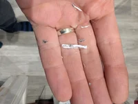 PXL_20251109_122614955.webp PXL_20251109_122614955.webp