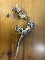 IMG_5904.webp IMG_5904.webp