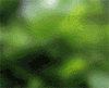 gif giraffe.gif