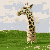 gif giraffe falling.gif