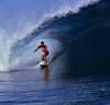 gif surfer 2.gif