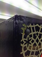 IMG_2270.jpg