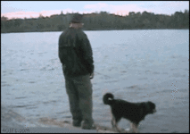 gif.gif