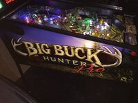 IMG_3456.JPG