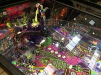 IMG_1716.jpg