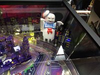 IMG_1691.jpg