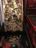 IMG_1387.JPG