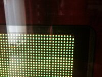 IMG_2339.jpg