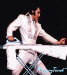 gif elvis ironing.gif